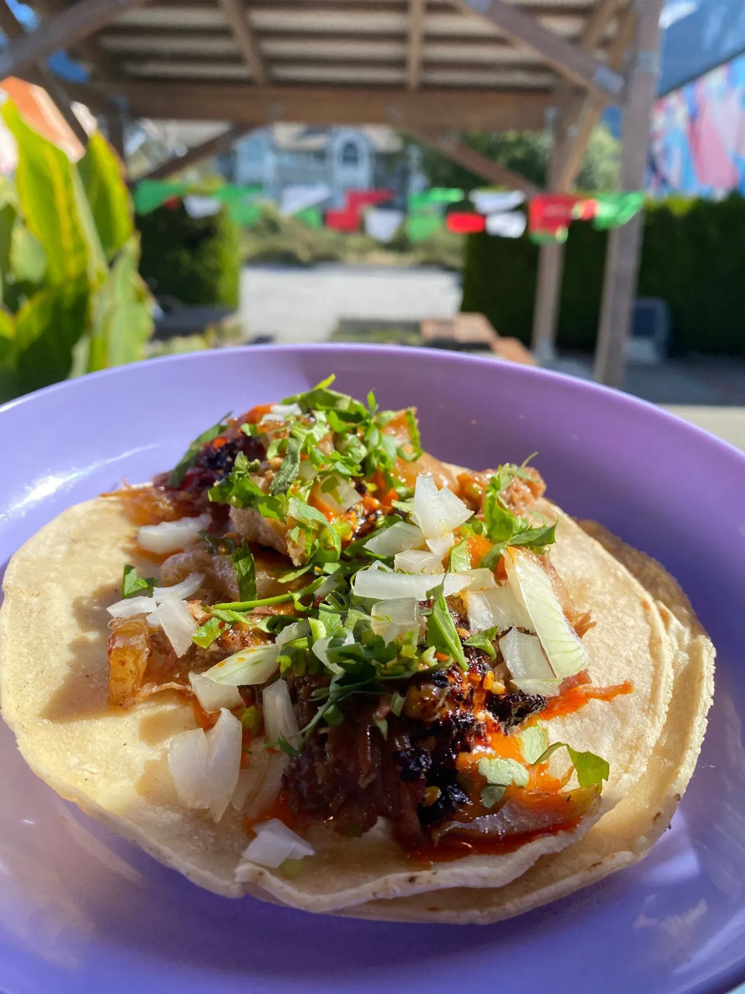 A taco al pastor on a hand-pressed corn tortilla, topped with chopped white onion, fresh coriander and red salsa, on a purple plate outdoors under papel picado bunting.